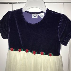 Hartstrings Dress- Blue Velvet with Tulle Skirt